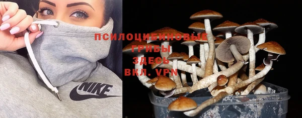 амф Балахна
